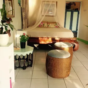 Quarto em Acomodações Particulares Magical Garden, Savaneta